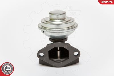 Клапан возврата ОГ ESEN SKV 14SKV052