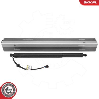 Электромотор, задняя дверь ESEN SKV 52SKV213