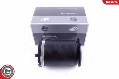 Pneimoatspere, Balstiekārta ESEN SKV 58SKV024