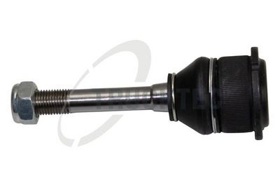 Balst-/Virzošais šarnīrs TRUCKTEC AUTOMOTIVE 08.31.019