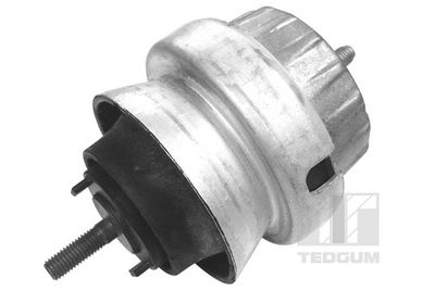 Подвеска, двигатель TEDGUM 00056452