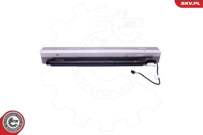Электромотор, задняя дверь ESEN SKV 52SKV914