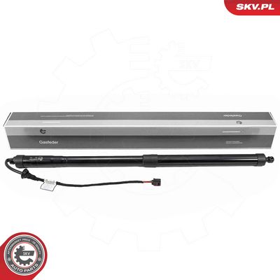 Электромотор, задняя дверь ESEN SKV 52SKV267