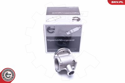 Клапан возврата ОГ ESEN SKV 14SKV177