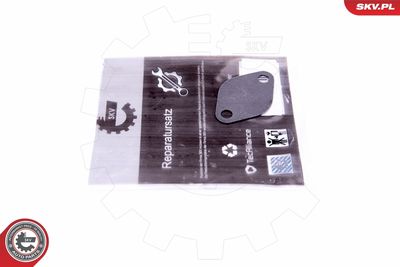 ESEN SKV 14SKV549 Remonta komplekts, izplūdes