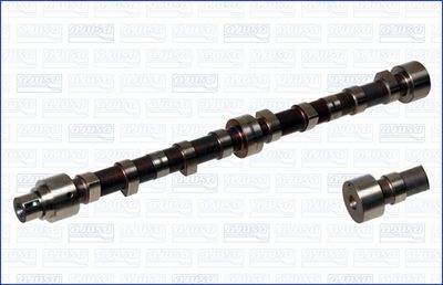Sadales vārpsta AJUSA 93016500