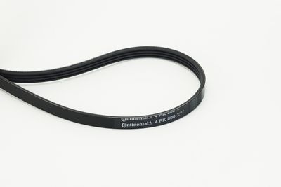 Поликлиновой ремень CONTINENTAL CTAM 4PK800