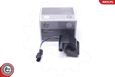 Aizdedzes spole ESEN SKV 03SKV048