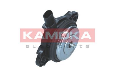 Регулирующий клапан, выставление распределительного вала KAMOKA RA061