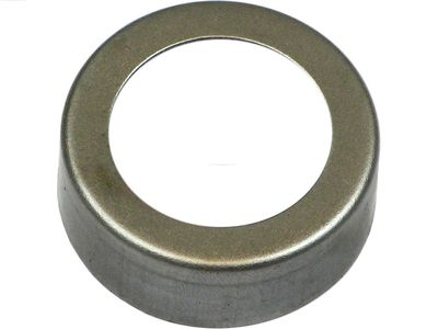 Remkomplekts, Starteris AS-PL SDK1001