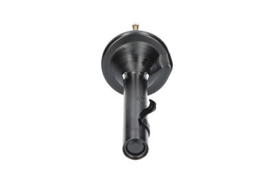 Amortizators KAVO PARTS SSA-2018