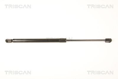 Gāzes atspere, Bagāžas/Kravas nodalījuma vāks TRISCAN 871043232