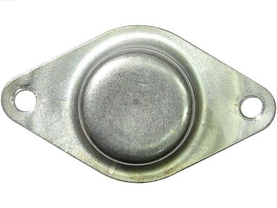 Крышка стартера, карбюратор AS-PL SBR0060