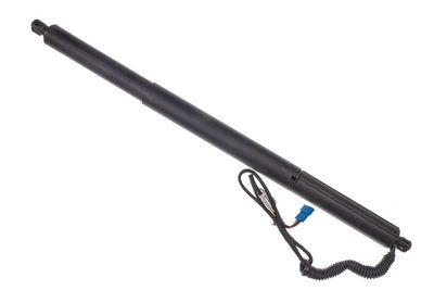 Электромотор, задняя дверь DENCKERMANN G100012