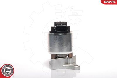 Клапан возврата ОГ ESEN SKV 14SKV041