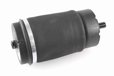 Pneimoatspere, Balstiekārta VEMO V48-50-0003