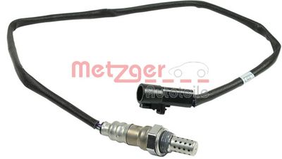  METZGER 0893248