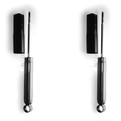 Amortizators MONROE D7029