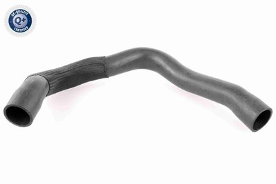 Pūtes sistēmas gaisa caurule VAICO V24-0679