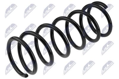 Пружина ходовой части NTY ASZ-FT-013