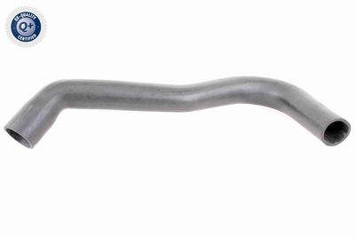 Трубка нагнетаемого воздуха VAICO V250943