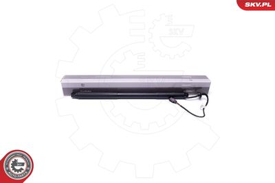 Электромотор, задняя дверь ESEN SKV 52SKV939