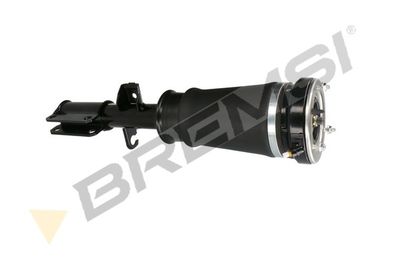 Pneimoatsperes statnis BREMSI SA1988