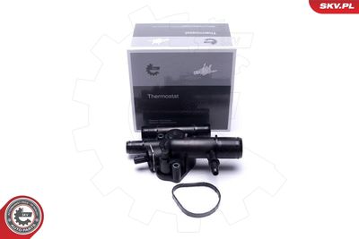 Termostats, Dzesēšanas šķidrums ESEN SKV 20SKV204