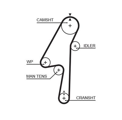 Зубчатый ремень GATES 5580XS