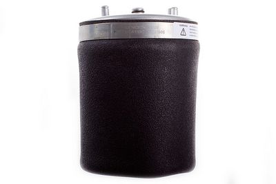 Pneimoatspere, Balstiekārta DENCKERMANN DSA110G