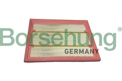 Gaisa filtrs Borsehung B12441