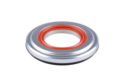 Ritgultnis, Amortizatora statnes balsts TEDGUM TED50990