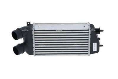 Интеркулер NRF 309029