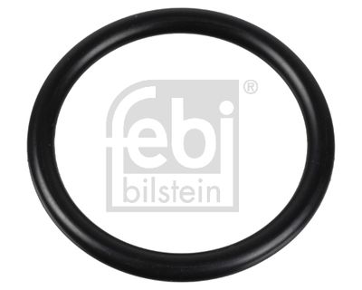 Blīve, Termostats FEBI BILSTEIN 174322