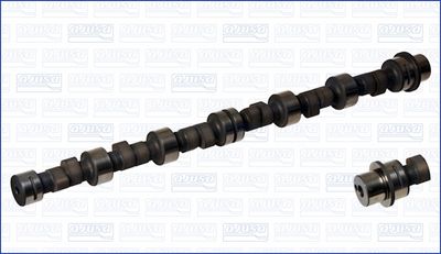 Sadales vārpsta AJUSA 93032400