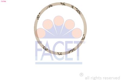 Blīve, Termostats FACET 7.9746