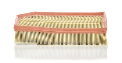 Gaisa filtrs MANN-FILTER C 33 194