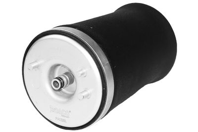Pneimoatspere, Balstiekārta DACO PA0325L
