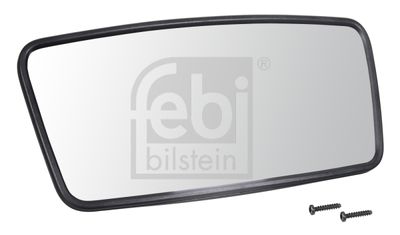 Ārējais atpakaļskata spogulis, Vadītāja kabīne FEBI BILSTEIN 49994