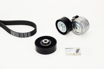  CONTINENTAL CTAM 6PK1836K2