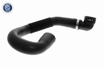 Radiatora cauruļvads VAICO V22-0850