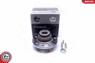 Комплект подшипника ступицы колеса ESEN SKV 29SKV305