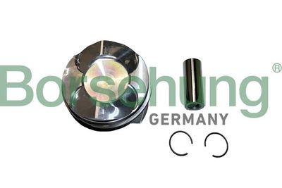 Поршень Borsehung B11144