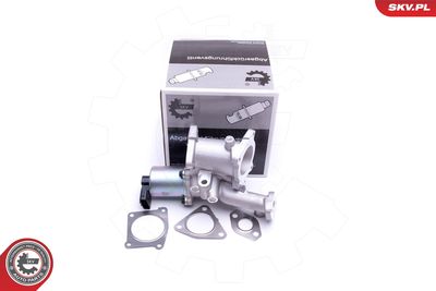 Клапан возврата ОГ ESEN SKV 14SKV166