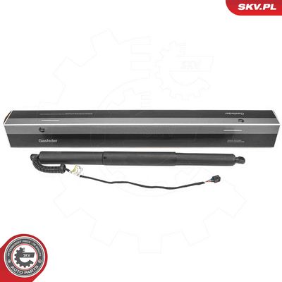 Электромотор, задняя дверь ESEN SKV 52SKV988