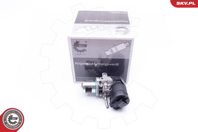 Клапан возврата ОГ ESEN SKV 14SKV169