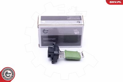 Сопротивление, вентилятор салона ESEN SKV 94SKV059