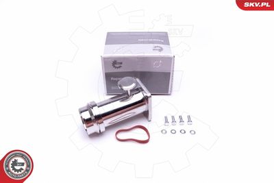 Ремкомплект, модуль впускного коллектора ESEN SKV 14SKV509