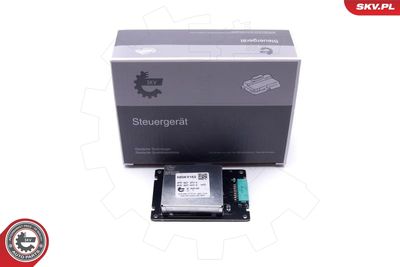 Устройство управления, освещение ESEN SKV 59SKV163