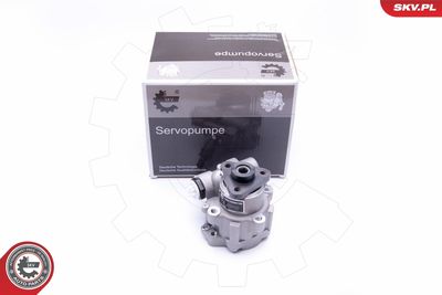 Гидравлический насос, рулевое управление ESEN SKV 10SKV249